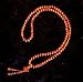 Lotus Seed Mala (Prayer Beads) Brown 108 Beads