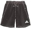 Adidas Basic Goalkeeping Short-black/white/black