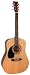 Johnson JG-624-N 620 Player Series Acoustic Guitar, Left-Handed