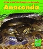 Anaconda