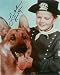 All Products : Lee Aaker autographed 8x10 photo The Adventures of Rin Tin Tin Show star (Pose 1) Rusty