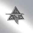 Boeing North American Pin