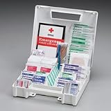 247 Piece clean- treat protect kit- large plastic case- 1 ea.