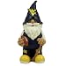 West Virginia Team Gnome - Blue/ Yellow (11