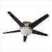 Reiker Brushed Nickel 1-Light 5-Blade Ceiling Fan, Nickel w Frosted Globe