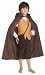 Lord of the Rings tm Hobbit tm Boys Costume Medium Age 5-7 years