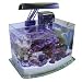 JBJ 3 Gallon Picotope Curved Glass Aquarium