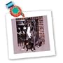Dogs Great Dane - Blue Great Dane - Quilt Squares