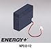 FedCo Batteries Compatible with EnerSys NP0.8-12 800mAh Sealed Lead Acid Battery For Standby And Main Power Applications