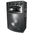 Pyle PADH1589 15'' Six-Way Speaker Cabinet