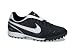 Suchen : Fu&szlig;ballschuhe Nike AIR TIEMPO MYSTIC II TF