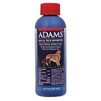 ADAMS FLEA & TICK SHAMPOO 6OZ
