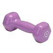 Body Solid Tools BSTVD2 2-Pound Vinyl Dumbbell (Light Purple)