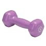 Body Solid Tools BSTVD2 2-Pound Vinyl Dumbbell (Light Purple)