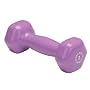 Body Solid Tools BSTVD2 2-Pound Vinyl Dumbbell (Light Purple)