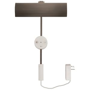 Cody Antique Bronze 6 LED Picture Light