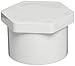 Spears 449 Series PVC Pipe Fitting, Plug, Schedule 40, 2