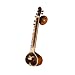 Sitar, Mayuri Peacock, G Rosul