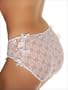 Fanny-tastic Crotchless Panty PLUS