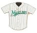 Florida Marlins Jersey Pin by Aminco