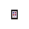 The Photo Album Company CF4259-NG 42X59 Clip Frame Non-Glass