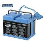 Peg Perego Battery 12 Volt (Drop Ship Pack)