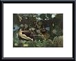 Art Poster Metal Framed Print - Dream, 1910 - Artist: Henri Rousseau- Poster Size: 11 X 14
