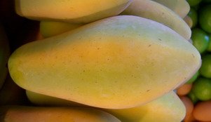 ARTIFICIAL FRUIT FINE HAND MADE " PAPAYA " QUALITY PRODUCT.