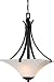 Minka Lavery Agilis Black Bowl Pendant Model #ML-1817-66