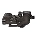 HAYWARD ECOSTAR PUMP VARIABLE SPEED (NEW 2011) - SP3400VSP