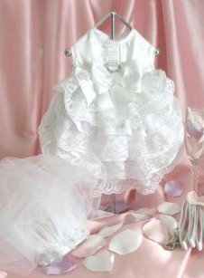 Glamorous Dog Wedding Dress w/ Veil & Leash, Small