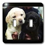 Dogs Labrador Retriever - Black and Yellow Lab Puppies - Light Switch Covers - double toggle switch