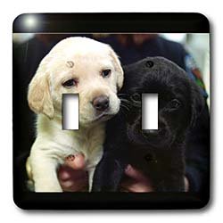 Dogs Labrador Retriever - Black and Yellow Lab Puppies - Light Switch Covers - double toggle switch