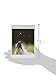 Nouvelles Images Holiday Boxed Note Card Set, In Like a Lion, Out like a Lamb (XDB 415)