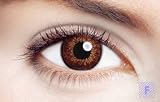 Expressions Colors Brown Non prescription