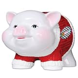 NASCAR Piggy Bank