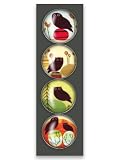 iPop Clicks Amy Ruppel Owls 4-Pack Magnet Set