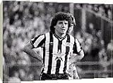 Box Canvas Print of Brighton v Newcastle United Football from Mirror Photos