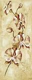 Tropical Orchid II Art Print Poster By Ruth Bush, 4  x 10 