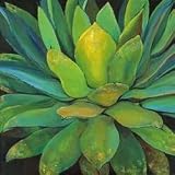 Agave - Artist: Jillian David Design - Art Print on Canvas - Image Size: 40.00 by 40.00 inches Art Print on Canvas