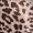 Neutral Snow Leopard