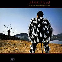 Original album cover of Delicate Sound of Thunder by Pink Floyd