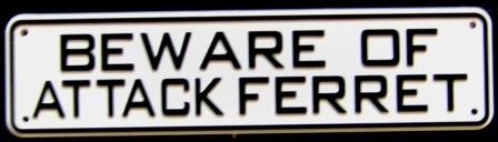 Beware Of Attack Ferret Sign