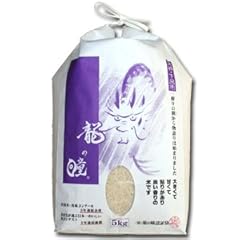 22年産 宮城県産 龍の瞳 5kg 白米