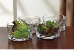Essentials for the Home Set of Four Clear Glass Nappy Bowls