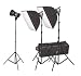 3000 Watt Quartz Light Kit with 2 softboxes, barndoors and Colour Filters