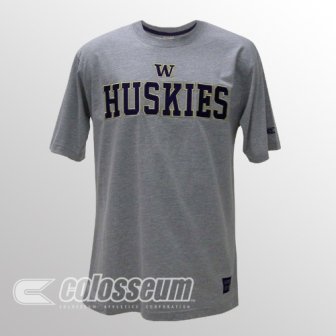 Buy Washington Licensed Embroidered Logo T-Shirt by Colosseum Athletics
