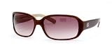 BANANA REPUBLIC ANJA 0TW2 Y6 BROWN CREAMHORN BROWN GRADIENT PLASTIC SUNGLASSES. by