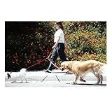 Pet Walker Plus 1 X 4 Red Pet Walker Plus 1
