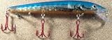 JLVLures JLV Shallow Suspending Minnow Blue Shiner Prism : Husky Stickbait Lures Saltwater Freshwater Jerk Bass Smallmouth Steelhead Pike Muskie Salmon Trout Snook Striper Perch Whiper Snook Speckled Trevally, Mid- Depth Trolling Casting Hook Treble